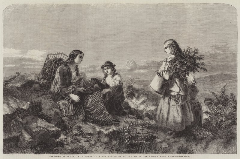 Clochettes de Bruyère - Edward John Cobbett