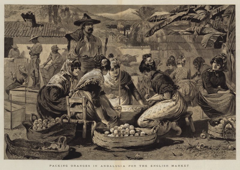 Emballage des Oranges en Andalousie pour le Marché Anglais - Edwin Buckman