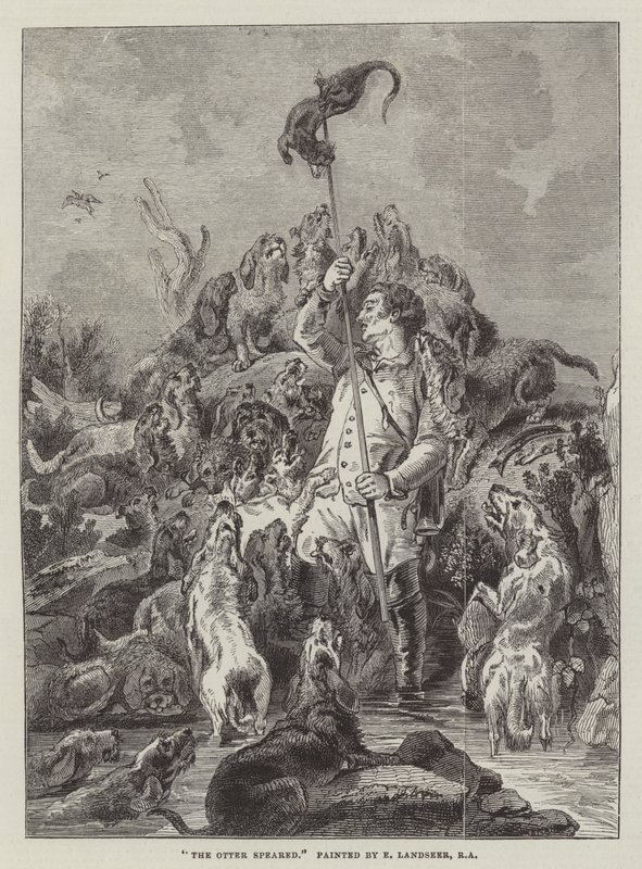 La loutre harponnée - Edwin Landseer