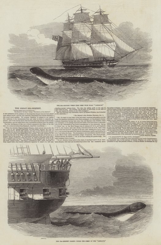 Le Grand Serpent de Mer - Edwin Weedon