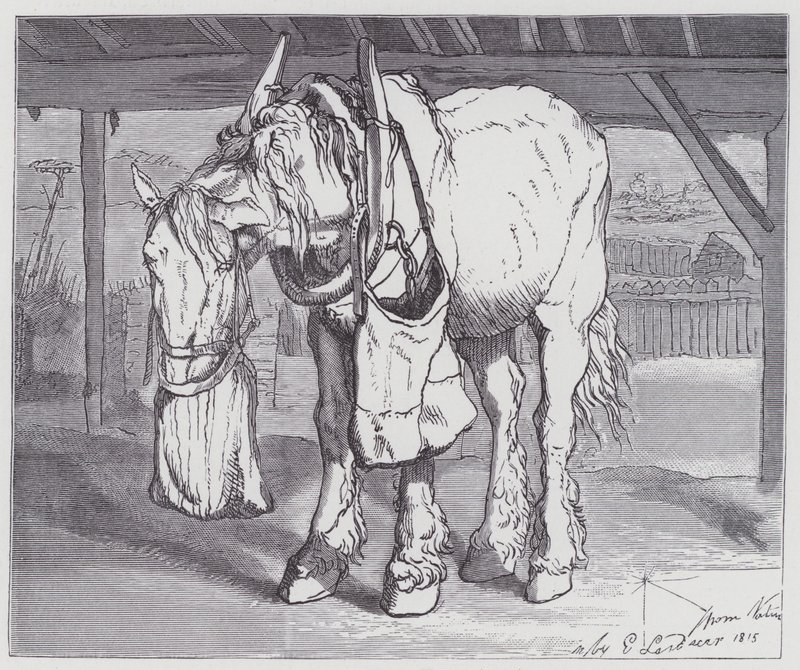Un cheval de trait - Edwin (after) Landseer