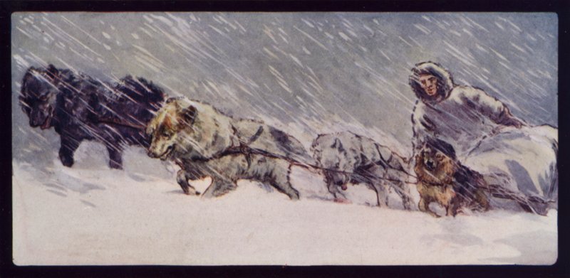 Une Équipe de Chiens de Traîneau Esquimaux - Edwin Noble
