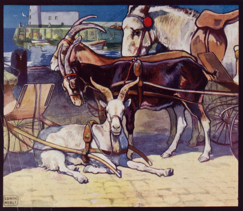Chariots de chèvres - Edwin Noble