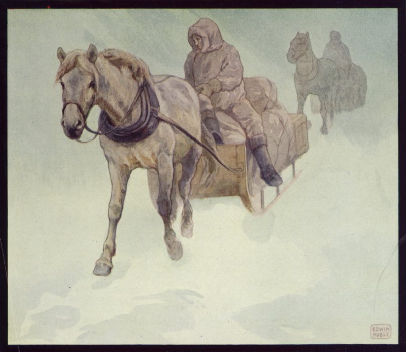 Poneys sibériens en Antarctique - Edwin Noble