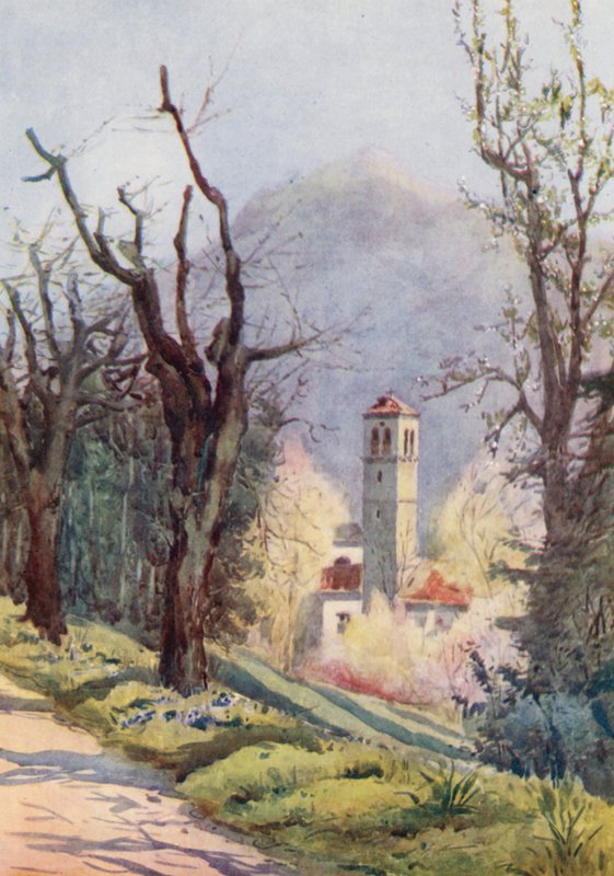 Suisse - Effie Jardine