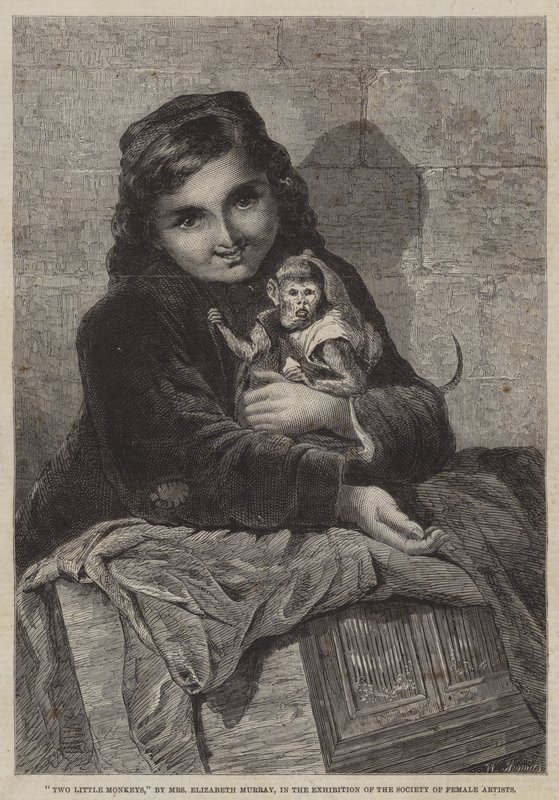 Deux petits singes - Elizabeth Murray