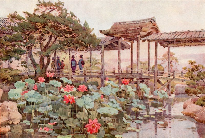Lotus à Kodaiji - Ella Du Cane