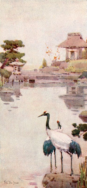 Les cigognes - Ella Du Cane