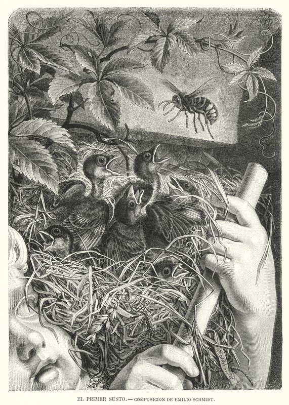 La première frayeur - Emil (after) Schmidt