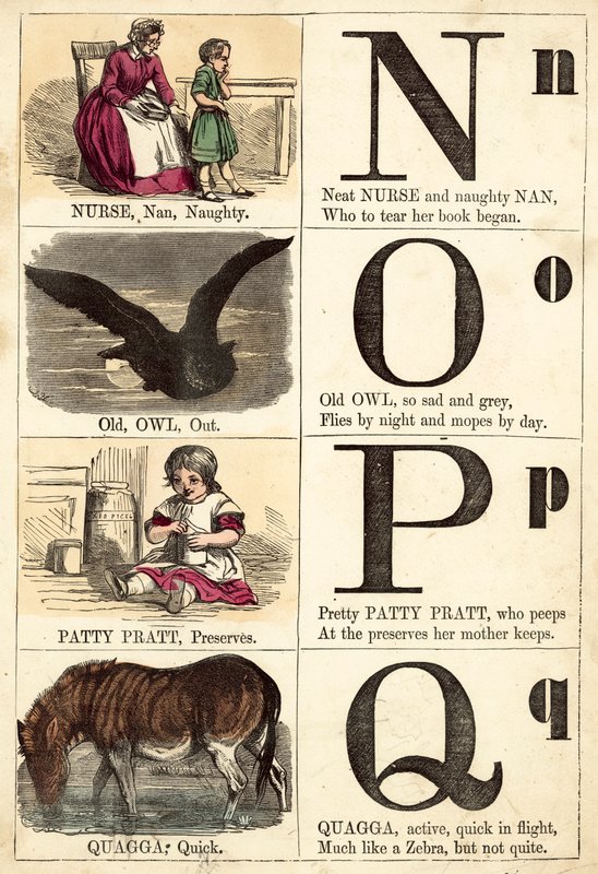 Alphabet illustré - English School