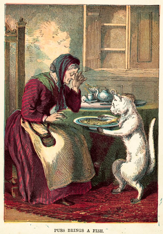 Le chat apporte un poisson - English School