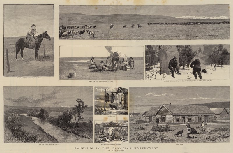 Élevage dans le nord-ouest canadien - English School