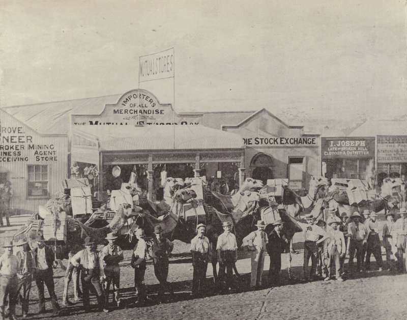 Un train de chameaux, Coolgardie, Australie-Occidentale - English Photographer