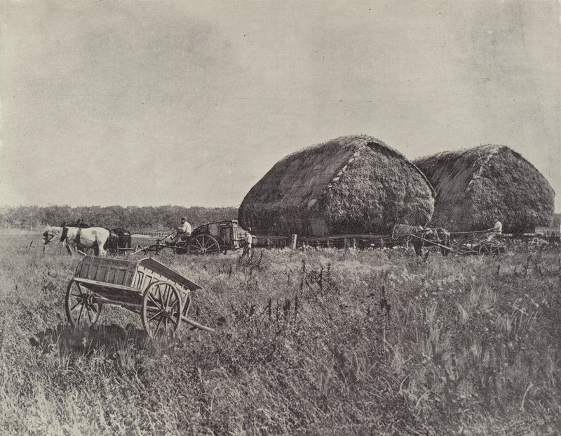 Station de Canning Downs - English Photographer