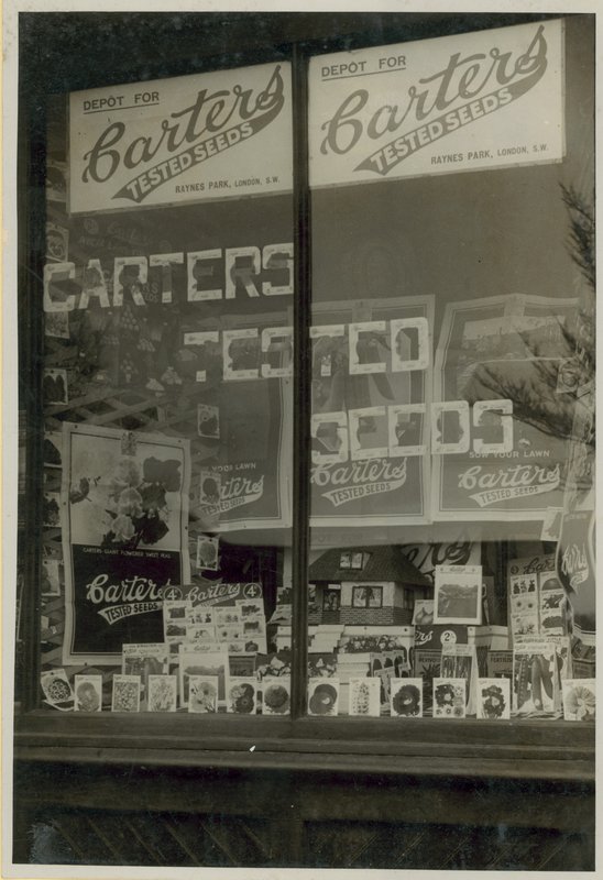 Affichage de graines testées Carters - English Photographer