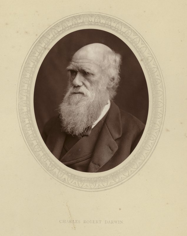 Charles Robert Darwin - English Photographer