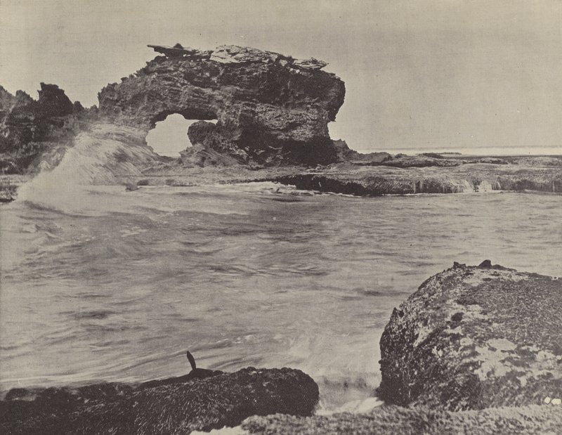 Scène côtière, Bridgewater - English Photographer
