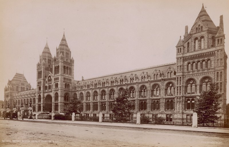 Musée d