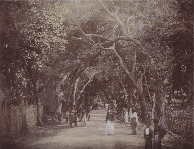 Route de Skinners, Colombo - English Photographer