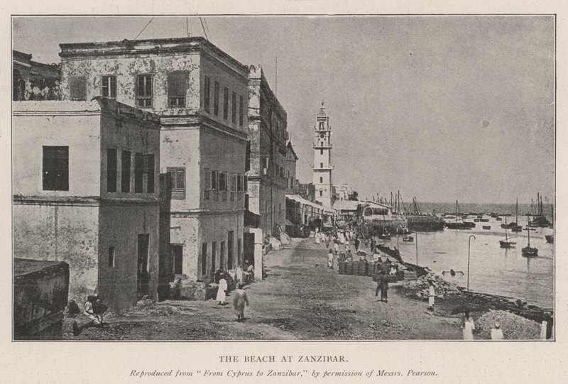 La plage à Zanzibar - English Photographer