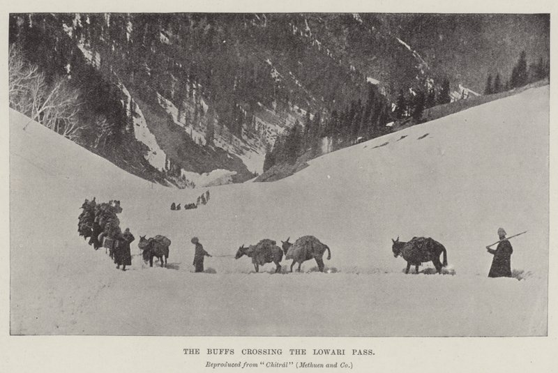 Les Buffs traversant le col de Lowari - English Photographer