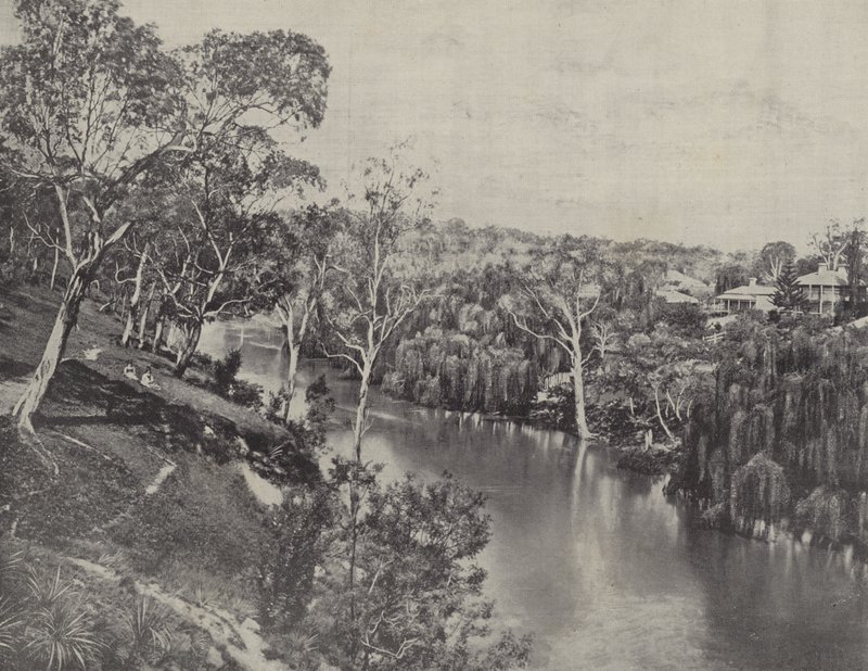 La Yarra à Studley Park - English Photographer