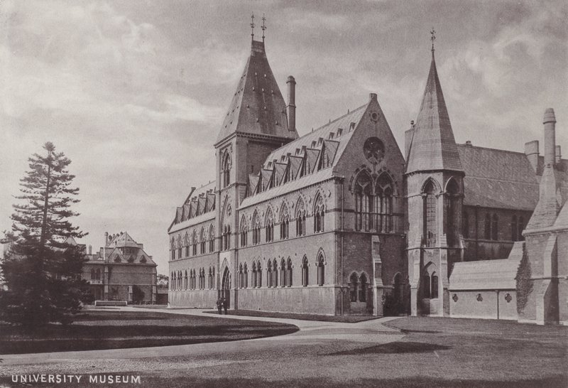 Musée Universitaire - English Photographer