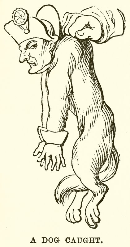 Un chien attrapé - English School