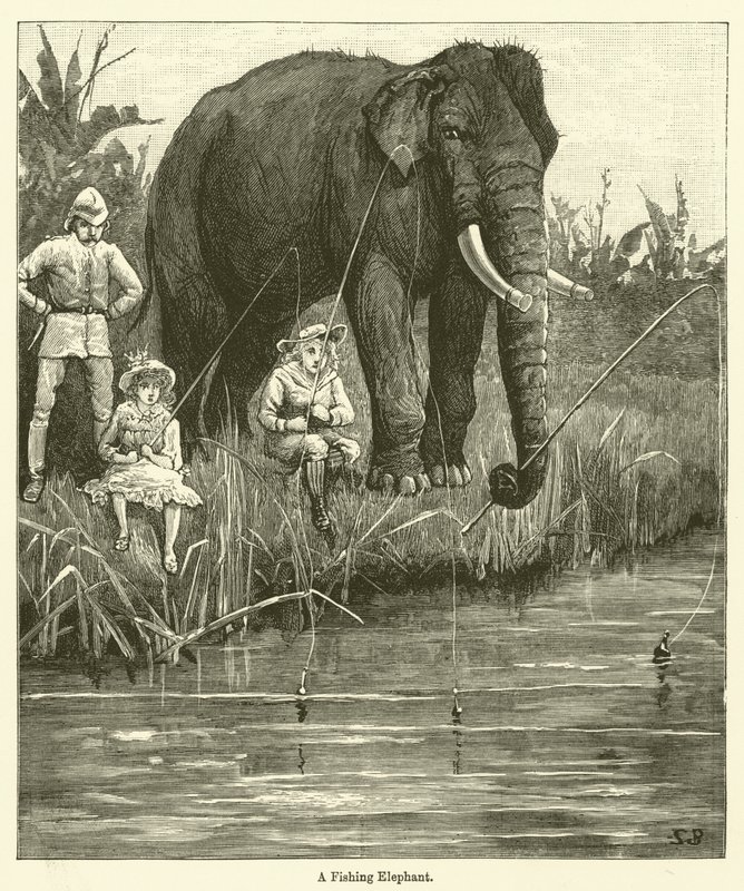 Un Éléphant Pêcheur - English School
