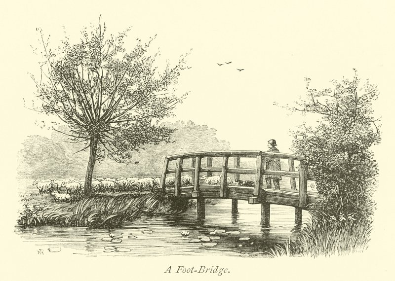 Passerelle - English School