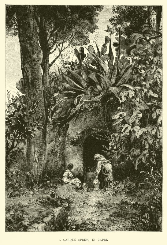 Une source de jardin à Capri - English School