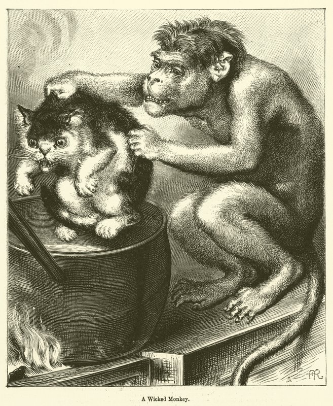 Un singe méchant - English School