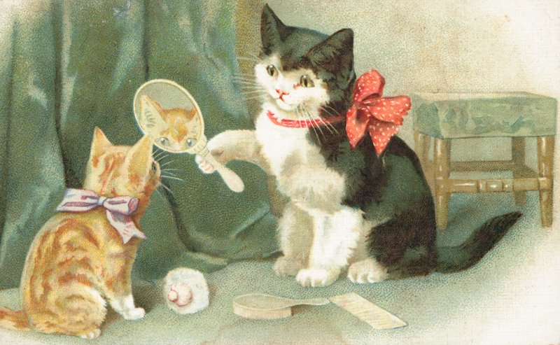 Un chat tenant un miroir à main - English School