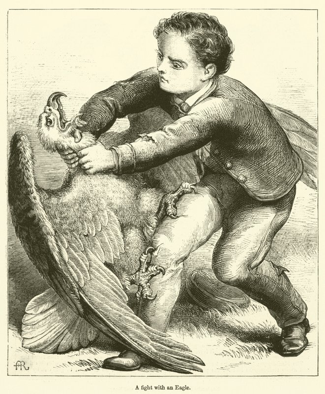 Un combat avec un aigle (gravure) - English School
