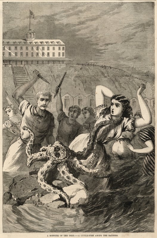 Un monstre des profondeurs - English School
