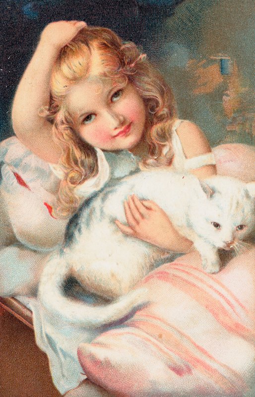Une jeune fille posant avec un chat - English School