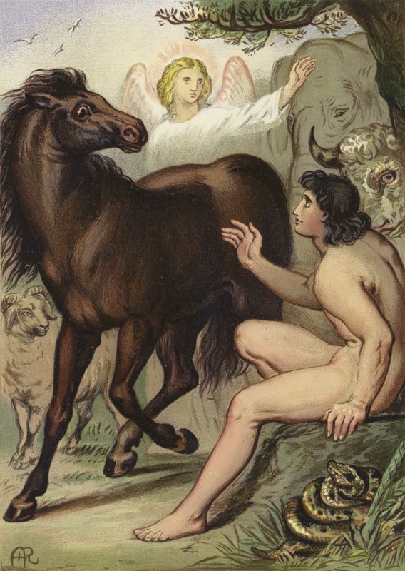 Adam nommant les animaux - English School