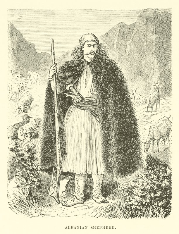 Berger albanais - English School