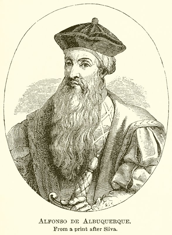 Alfonso de Albuquerque - English School