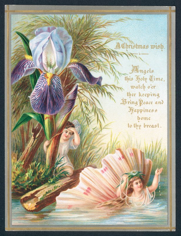Anges et fleur d