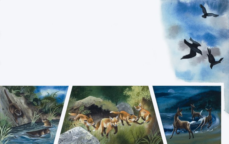 Animaux en jeu - English School