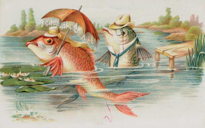 Poisson anthropomorphe - English School