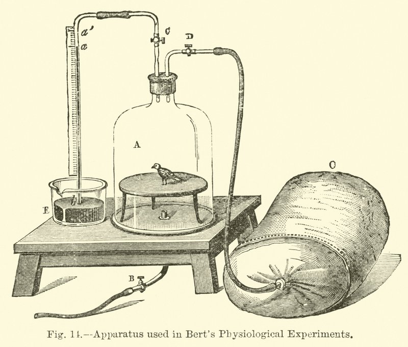 Appareils utilisés dans les expériences physiologiques de Bert - English School