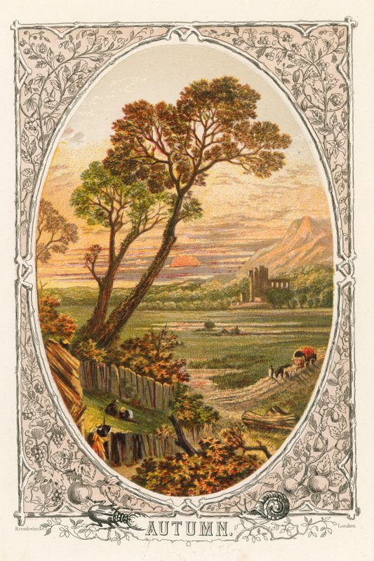 Automne - English School