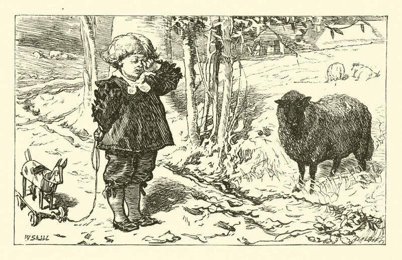 Baa, Baa, mouton noir - English School