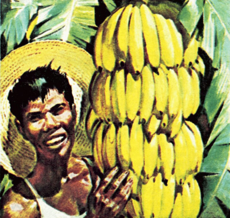 Bananes - English School