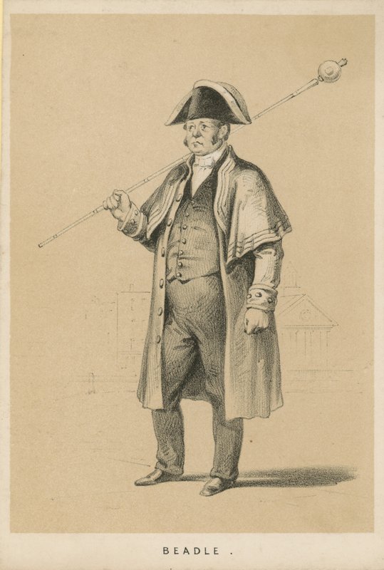 Bedeau - English School