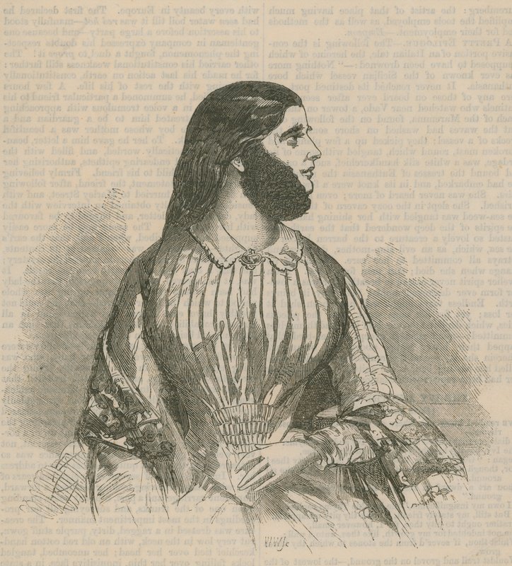Femme à barbe - English School