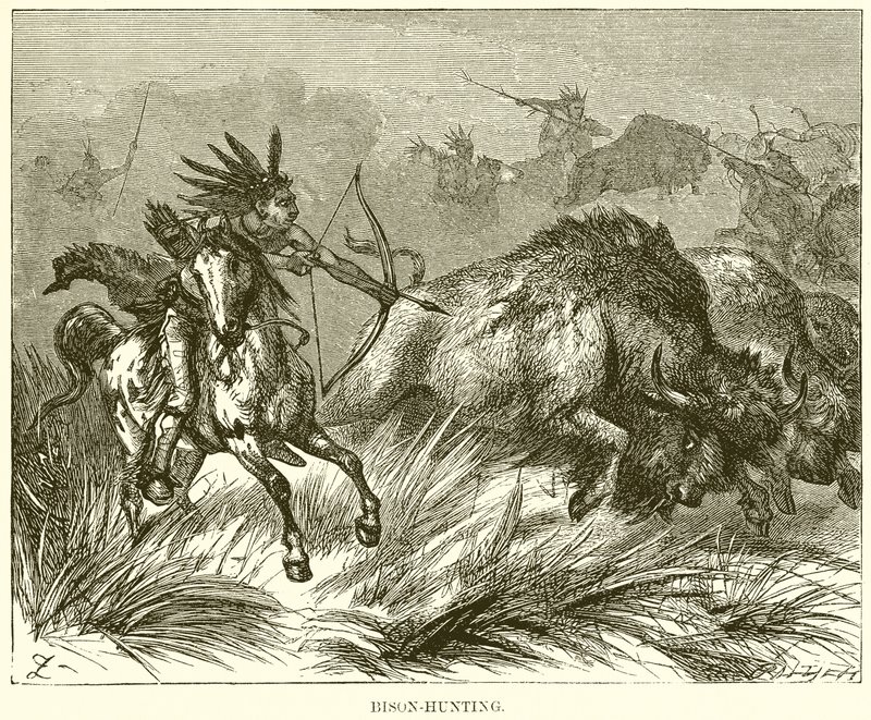 Chasse au bison - English School