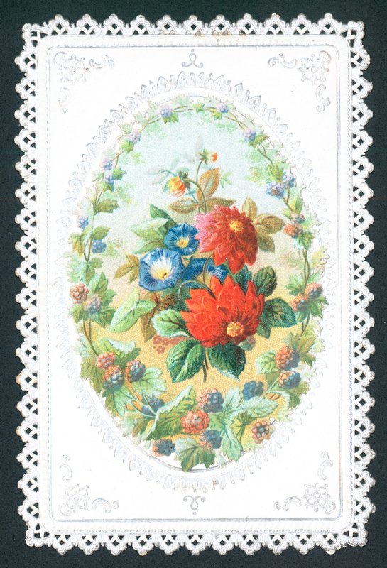 Mûres et fleurs, carte - English School